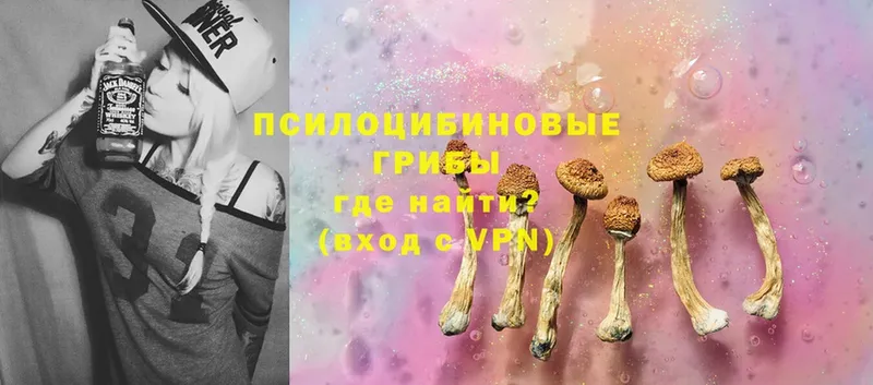 Галлюциногенные грибы Psilocybine cubensis  Набережные Челны 